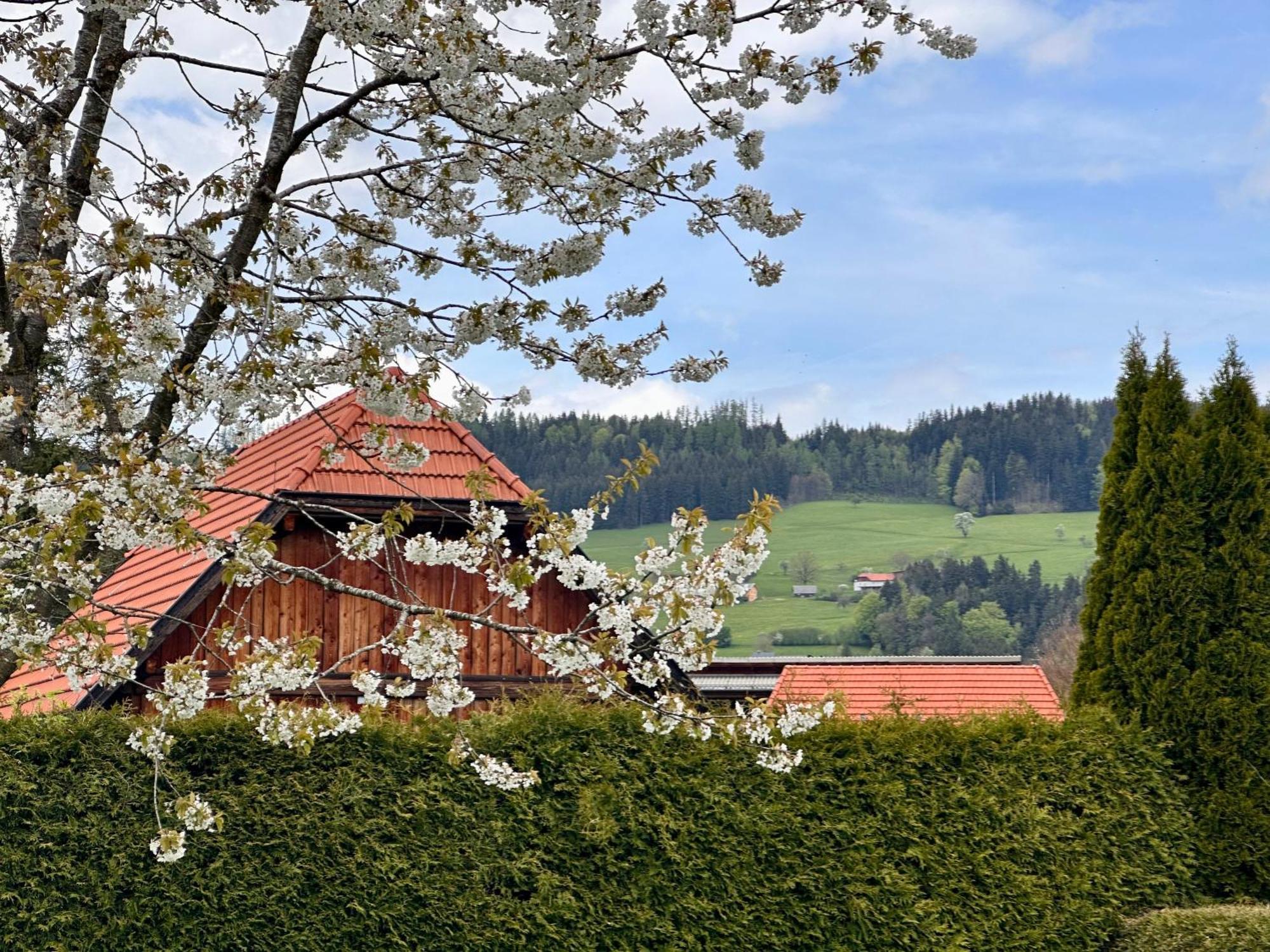 Romantic Chalet - Alpine Getaway Salzkammergut Viechtwang Ngoại thất bức ảnh